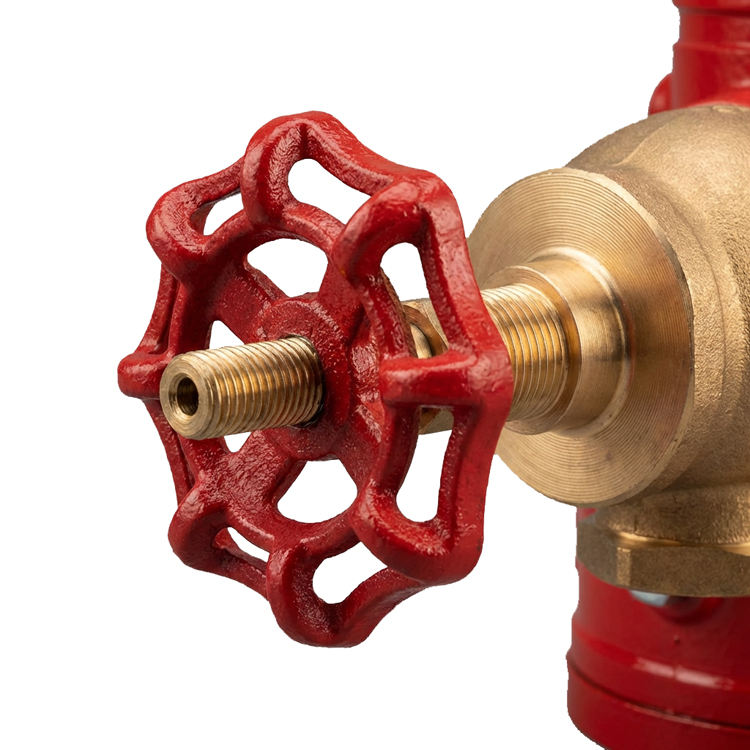 Shotgun Riser Check Valve for Fire Sprinkler & Standpipe System ...