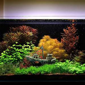 Oxigen Navire Pirate Cassé Grand Artcreativity Navires Navire De Pêche Cultures Bateaux Avec Aquarium <span class=keywords><strong>Bateau</strong></span> Pour Fish Tank Décoration - Product Image 5