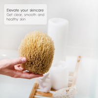 Épurateur de bouffées écologiques pour le bain et la douche Éponges de mer en luffa douces et naturelles durables