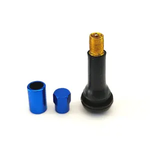 Valve de pneu sans chambre à air, pliable, couvercle de couleur bleu, TR414C