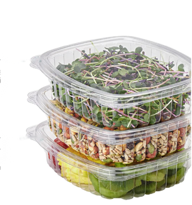 Salata depolama ve Take-Out kapaklı plastik ambalaj için özelleştirilmiş dayanıklı tek kullanımlık plastik yiyecek kutusu - Product Image 3