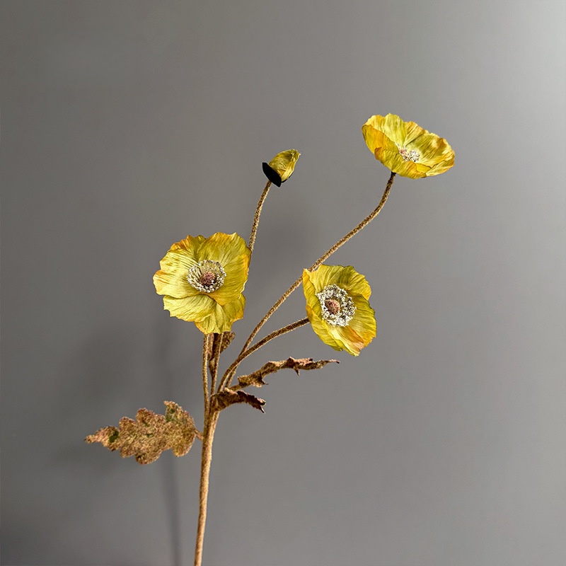 Yellow1
