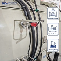 C Type W-Re Thermocouple Probe | High Temperature Sensor 0-2300°C | Gold-Plated Pins | Stainless Steel | BS10/BS20 Series
