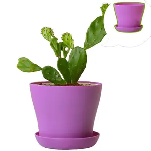 De gros arc usine-Pot de fleurs rondes colorées en plastique, Pot pour plantes succulentes de jardin, de maison bureau, plateau, AAA347