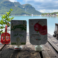 500ml 1L 2L 3L prix de gros étanche extérieur Transparent stock disponible pochette d'emballage en plastique personnalisé jus sacs debout