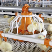 Système de chaîne d'alimentation pour équipement de volaille Poussins de volaille Mangeoire en plastique