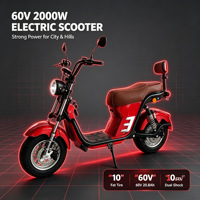Nouvelle conception de scooter électrique à gros pneus 2000W, batterie LFP 60V, double suspension, avec chargeur, certification CE UL SAA