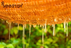 Miel de Abeja Natural BEESTAR, Venta Directa de Fábrica, en Envases de Polietileno, al Mejor Precio para Repostería o Postres - Product Image 2