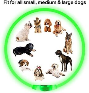 <span class=keywords><strong>Collar</strong></span> LED para Perro, Recargable por USB, <span class=keywords><strong>Collar</strong></span> Luminoso de Seguridad para Mascotas, <span class=keywords><strong>Collar</strong></span> Brillante de Alta Visibilidad - Product Image 3