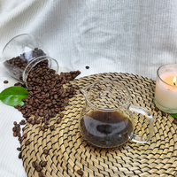 Mini-filtre à café et thé instantané en verre borosilicate transparent, écologique et moderne, avec support en bois