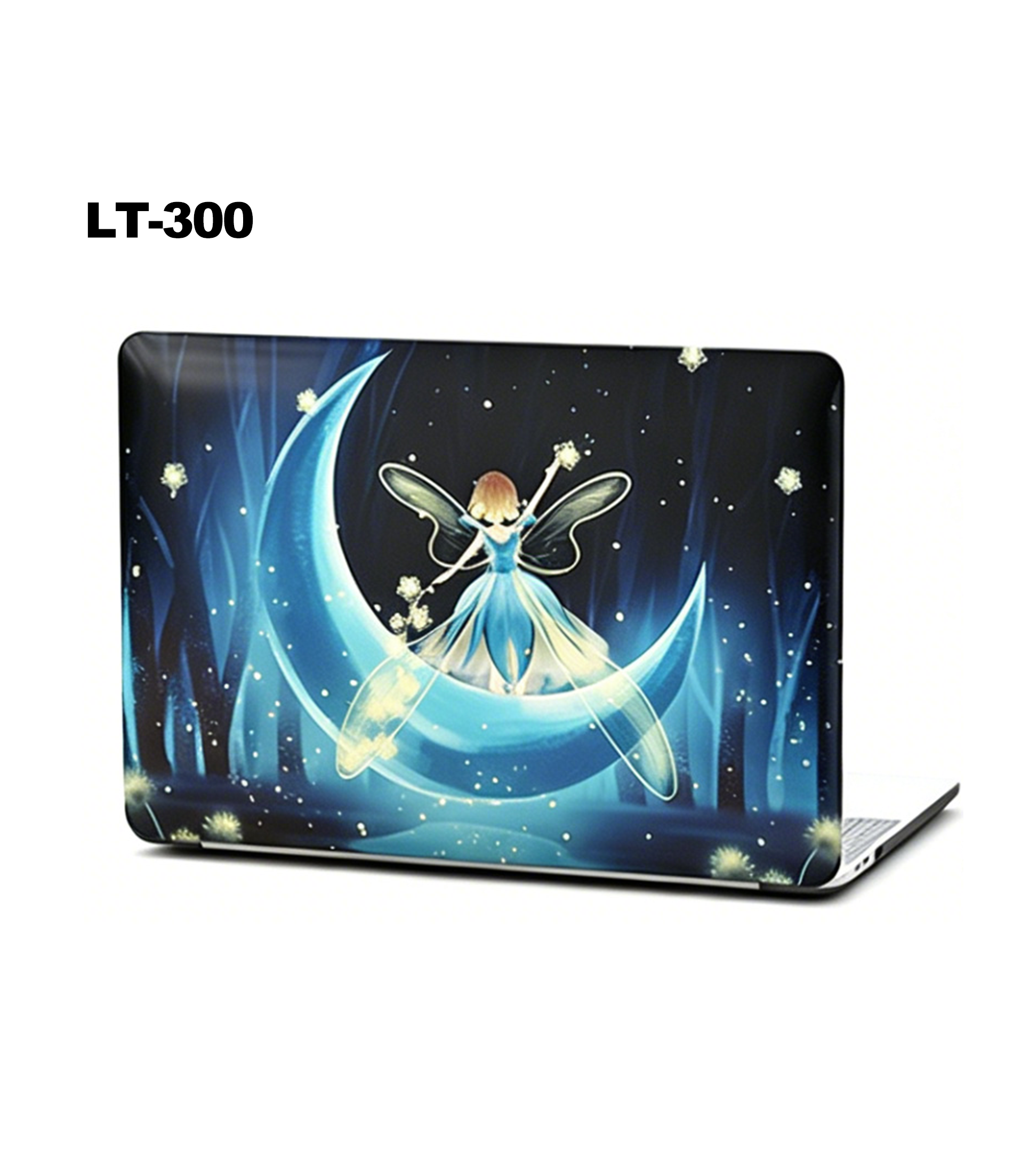 LT-300