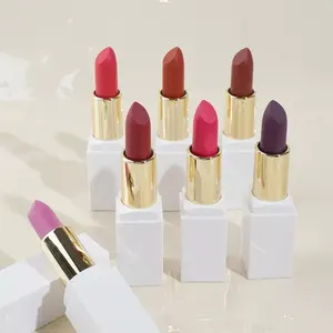 Wholesale High Quality Vegan Lipsticks Makeups Private Label 55 Color Matte Lipsticks Private Label Pink Lipsticks