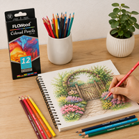 FLOWood – crayons de couleur professionnels à base d'huile, 12 couleurs, boîte en étain pour fournitures scolaires, papeterie de dessin pour artistes