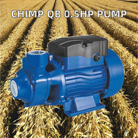 Pompe à Eau de Surface à Vortex CHIMP Série QB de Haute Qualité 0,5 CV, Surpresseur d'Irrigation pour Usage Domestique
