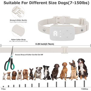 Collier de dressage de chien électrique étanche en plastique rechargeable de vente chaude avec le choc de vibration de bip pour des chiens - Product Image 6
