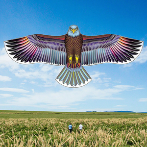 Variété de styles de simulation puissante aigle <span class=keywords><strong>cerf</strong></span>-<span class=keywords><strong>volant</strong></span> <span class=keywords><strong>oiseaux</strong></span> usines chinoises en gros sur mesure pour adultes enfants à voler - Product Image 1