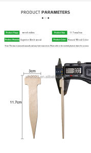 Fixation du filet : piquets en bois biodégradable modernes et jetables en bouleau pour jardin, ferme et serre - Product Image 2