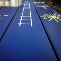 Tapis d'entraînement en mousse XPE pour Judo, Karaté, Taekwondo, MMA, Grappling, Aikido, écologiques, antidérapants, souples, légers, de haute qualité, 4 cm d'épaisseur, en rouleau