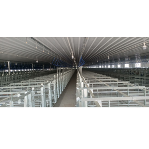 Caisses de mise bas en plastique de haute qualité pour l'élevage porcin Couleur personnalisée 2400X1800MM Vietnam Fabricant - Product Image 5