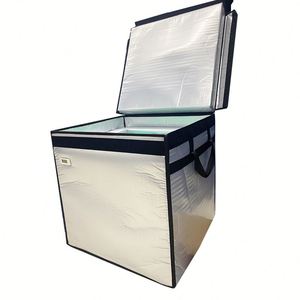 Caja Aislada para Entrega de Helados Congelados con Paquete de Hielo Frío - Product Image 5