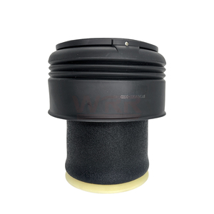 37126790078 37126790079 Suspension pneumatique arrière pour BMW F07 F11 535i 550i – Coussin de suspension, soufflet, amortisseur - Product Image 1