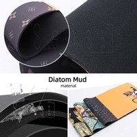 Tapis de bain en terre de diatomées antidérapant, doux et super absorbant, tapis de bain en diatomite, barrière anti-saleté, séchage rapide, porte ou cuisine