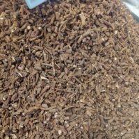 Chai Hu, racines d'herbe normale Bupleurum Chinense, RADIX BUPLEURI, à vendre