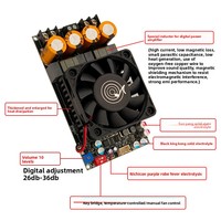 3002 Saf Post-Stage Dijital Amplifikatör Kartı Yüksek Güçlü TPA3255 Stereo 300W2 Köprü-Mono 600W
