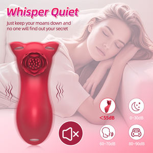 वयस्क सेक्स खिलौने महिलाओं के पहनने योग्य पैंटी वाइब्रेटर रिमोट कंट्रोल 10 मोड मिनी वाइब्रेटर शांत गुलाब डिल्डो सेक्स मशीन - Product Image 4