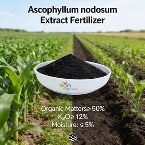 Engrais organique à base <span class=keywords><strong>d</strong></span>'algues noires Agrinorm, extrait <span class=keywords><strong>d</strong></span>'Ascophyllum Nodosum en poudre, 100% soluble dans l'eau, améliore la qualité des fruits en agriculture - Product Image 3