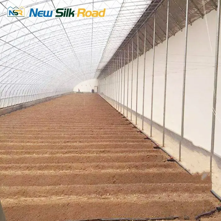 NSR Greenhouse Agricultural Double Layer Chinese Style Solar Greenhouse For Plant