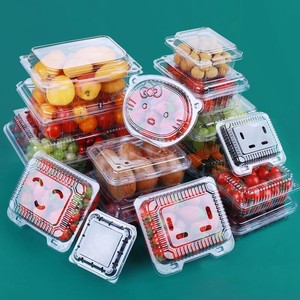 Cheap Price Custom Recycled Plastic RPET/PET Fruit Packing Container Clear Fruit Clamshell Packaging Box