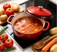 Marmites en fonte polie émaillée pour la cuisine à domicile ensemble d'ustensiles de cuisine casseroles soupe marmite avec couvercle