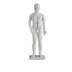 Offre Spéciale modèle d'<span class=keywords><strong>acupuncture</strong></span> chinois 50cm modèle d'<span class=keywords><strong>acupuncture</strong></span> masculine modèle d'<span class=keywords><strong>acupuncture</strong></span> méridiens humains pour l'enseignement et l'apprentissage - Product Image 4