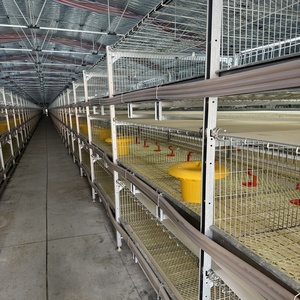 Có sẵn để Bán thiết bị lồng pin tự động cho chăn nuôi gà và chăn nuôi gia cầm - Product Image 1