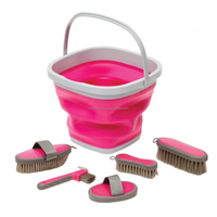 Kit de toilettage pour chevaux avec boîte