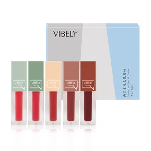 Pigmento Alto Outono 20 Cores Private Label Waterproof Lipgloss Faça Seu Próprio Lip Gloss