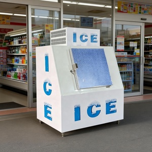 Contenitore per Ghiaccio in Sacchi da 40 piedi cubi di Qualità Stabile, con Parete Refrigerante/Raffreddamento ad Aria, Porta Singola Inclinata - Product Image 2