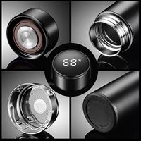 Bouteille d'eau personnalisée en gros, moderne, grande capacité, écologique, avec logo, réutilisable, tasse thermos intelligente avec affichage LED de la température