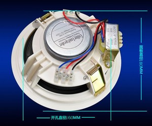 2021 phong cách mới Chất lượng cao biểu tượng tùy chỉnh <span class=keywords><strong>OEM</strong></span> 6 "2-cách trong tường loa trần - Product Image 2