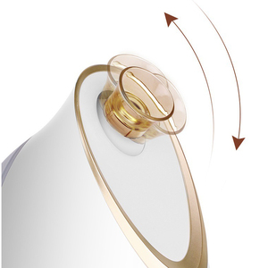 Appareil de beauté portable pour resserrer la peau et réduire les pores, utilisation à domicile, hydratation plus profonde, hydratation, vapeur faciale ionique nano - Product Image 2