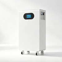Batterie LiFePO4 51,2 V 314 Ah 300 Ah 16,07 kWh, montage au sol, système de stockage d'énergie solaire domestique, batterie lithium pour unité de charge de véhicule électrique