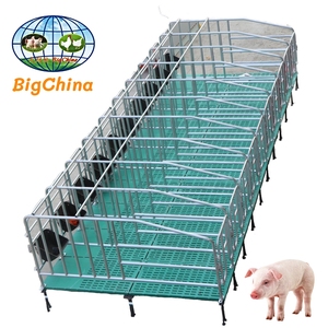 Jaula de Gestación Tipo H con Estructura Galvanizada en Caliente, Equipo para Cría de Cerdos, Venta al Por Mayor, Oportunidad de Distribución Mundial - Product Image 1