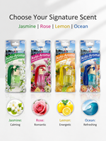 Diffuseur d'huiles essentielles pour voiture, diffuseur de parfum naturel suspendu, parfum longue durée pour l'intérieur du véhicule