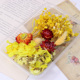 Yellow Series