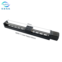 Moteur pas à pas NEMA 11 Rail linéaire 50mm / 100mm / 150mm/ 200mm Actionneur linéaire d'étape avec rails linéaires carrés Mini table coulissante