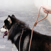Laisse pour chien classique en nylon GorisPet, corde tressée solide, boucle confortable pour la promenade, mousqueton en métal robuste pour petits chiens