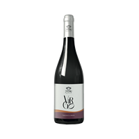 Vin rouge sicilien italien Todaro-Virgo 2022 75cl Biologique 13,5% ABV San Giuseppe Jato Palermo Contient des sulfites Servir à 14/18°C