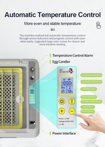 Incubadora automática completa Hhd, máquina para incubar 36 huevos, equipo de granja avícola de pollo con tanque de agua extraíble - Product Image 4