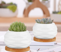 Mini Pots de fleurs en céramique avec plateau en bambou, Pot blanc brillant pour plantes succulentes, Cactus, jardinières avec trou, offre spéciale
